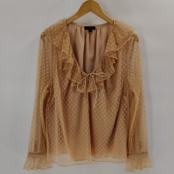 J. Crew Blouse Size XXL Tan Peach Swiss Dot Mesh V Neck Sheer Sleeve W Lining - Picture 1 of 5